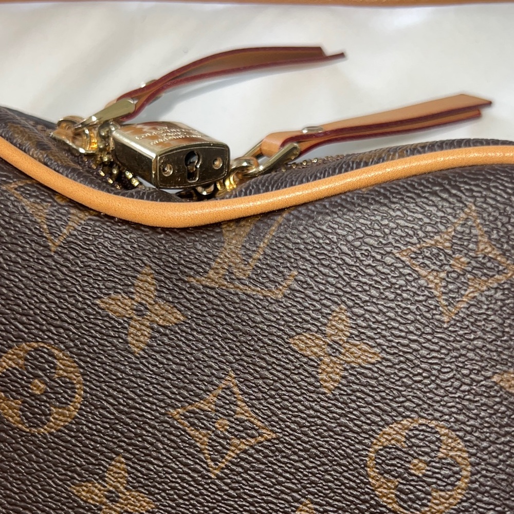 Louis Vuitton Heart-Shaped Monogram Crossbody Bag with Red Accent - Picture 13 of 17